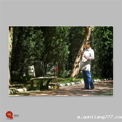 D21 斑斓的生活 武军.jpg