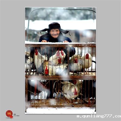 D48 进城 胡雅丽.jpg